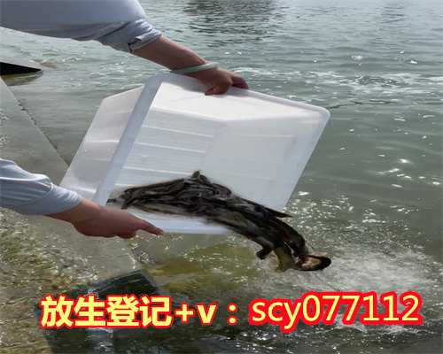 <b>广州哪里适合放生鸟鱼，广州市佛教协会发布疫情防控措施</b>