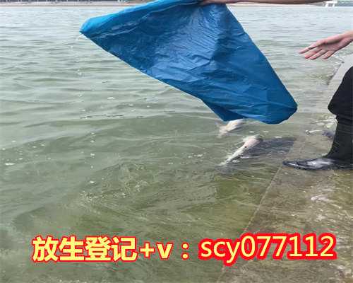 宁波放生动物的意义，宁波泥鳅去哪里放生，宁波放生鱼籽的功德和福报