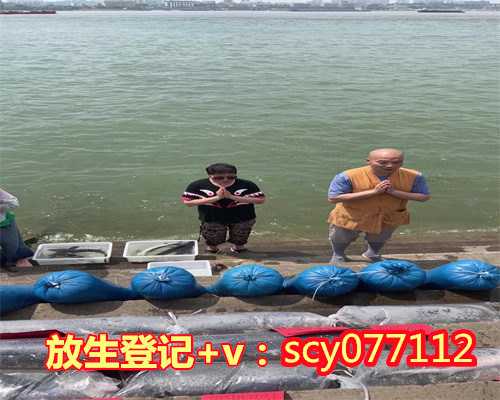 合肥在可以买什么放生，大湖墨韵五教同光：第三届合肥宗教界迎春书画展开幕