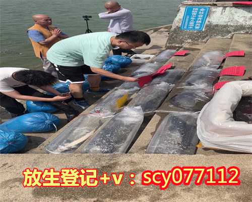 深圳野鸡放生地点在哪