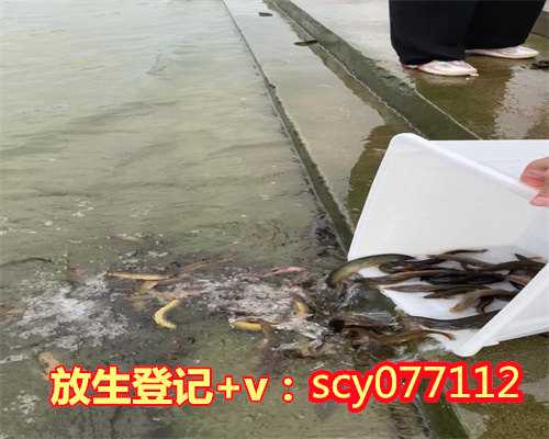 南京放生园放生鸽子，南京农业大学王建光教授致唁电哀悼黄心川先生