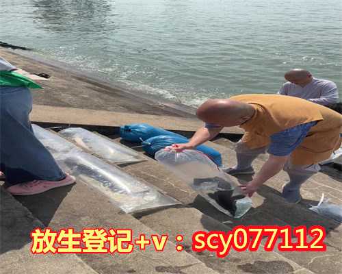 乌龟生病的时候可以放生吗，放生乌龟是什么意思