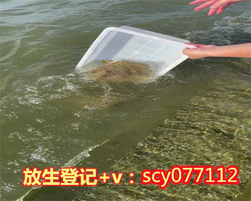 南京公园可以放生蛇吗，南京牛首山欲放生10万萤火虫引争议活动已取消