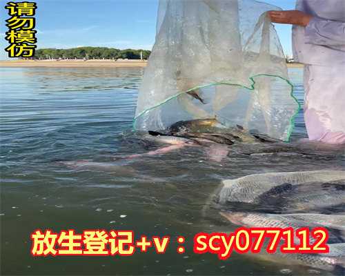 买多大的鲫鱼放生最好，放生好处多多