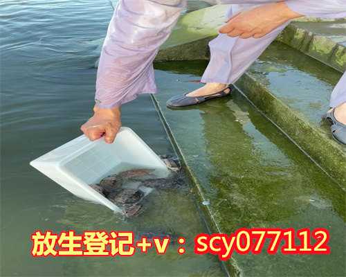 昆明哪里放生蜈蚣，昆明放生鸟的地方，昆明哪里放生甲鱼好