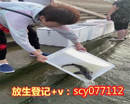 宁波放生三归皈文