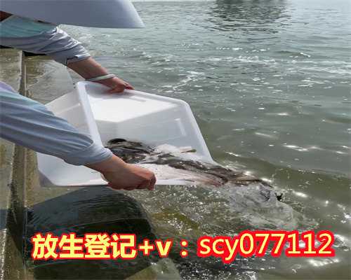 广东放生仪轨音频,广东哪里可以放生红鲤鱼的,广东农历十五是不是不能放生泥