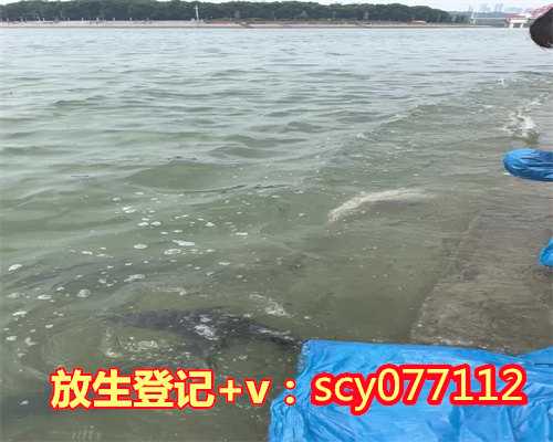 南京哪里可以买鸟放生，淡泊了，自然乐观—南京吉慧长老访谈录