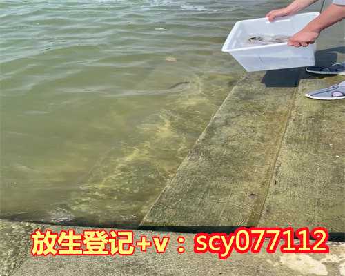 长春附近放生最佳地点（长春城阳浮山后有放生的地方）