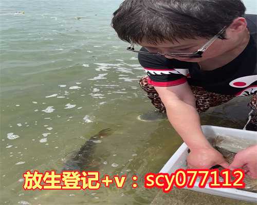 海口适合放生鱼的公园