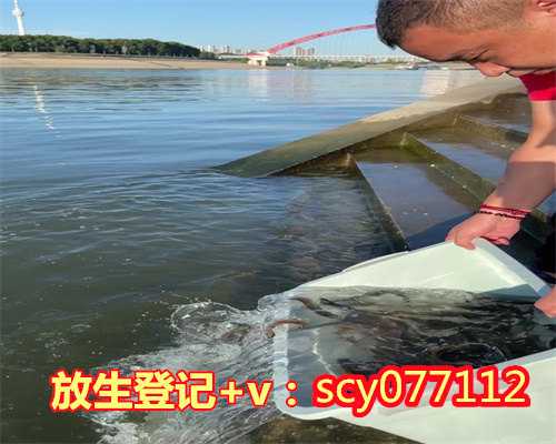 大连哪里可以放生蛇呢，大连“小羊藏刀救母”，再现400年前《了凡四训》的故