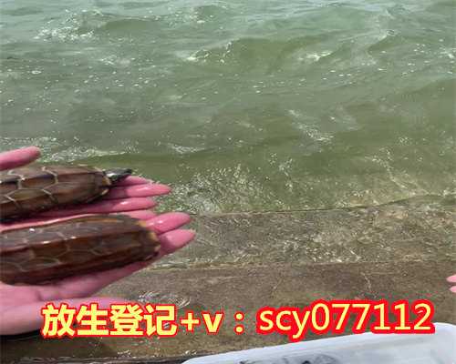 广东放心吉时，广东野生鲤鱼去哪里放生，广东大量放生蚯蚓果报